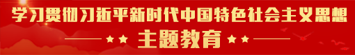 學習貫徹習近平新時代中國特色社會主義思想主題教育